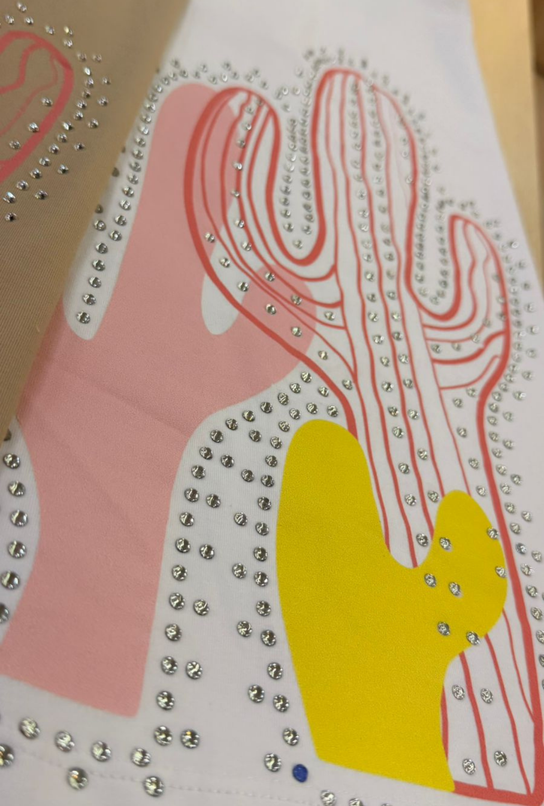 Camiseta Oversize Captus